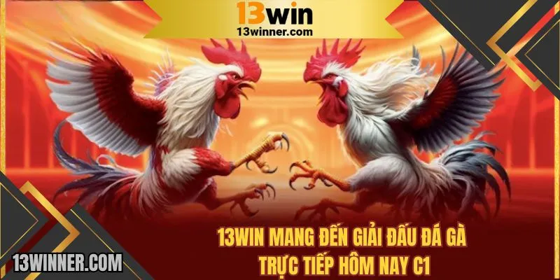 13WIN mang đến giải đấu đá gà trực tiếp hôm nay C1