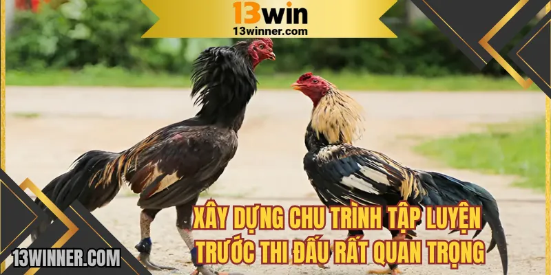 Xây dựng chu trình tập luyện trước thi đấu rất quan trọng