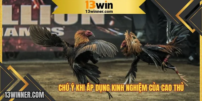 Chú ý khi áp dụng kinh nghiệm của cao thủ vào cuộc chơi.