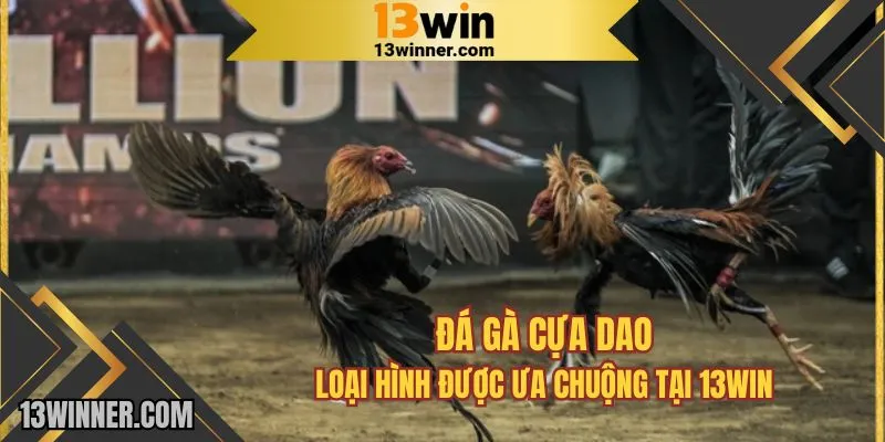 Trải nghiệm những trận đấu cựa dao đầy kịch tính tại 13WIN