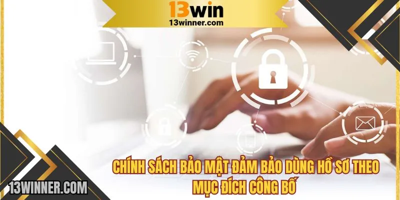Chính sách bảo mật cam kết dùng hồ sơ theo mục đích công bố