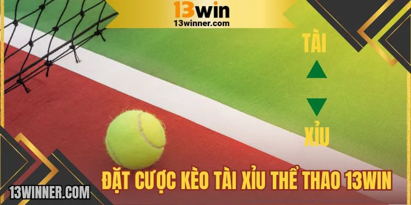 Đặt cược kèo tài xỉu 13WIN cao thấp dễ chơi