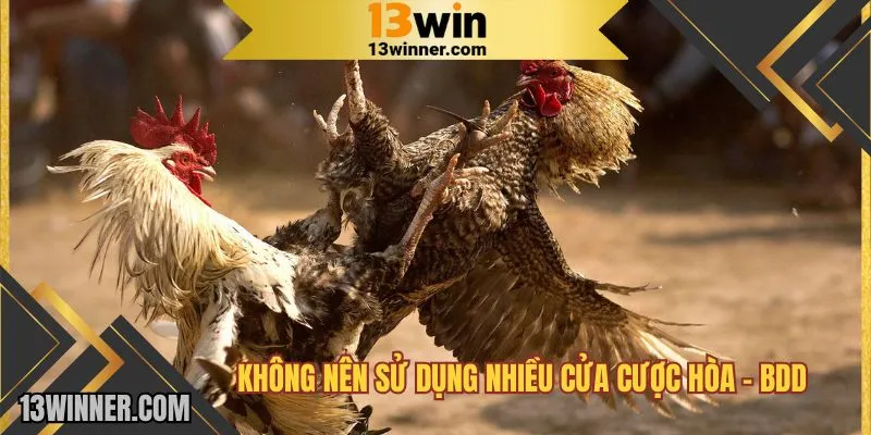 Không nên sử dụng nhiều cửa cược hòa - BDD